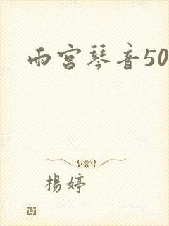 雨宫琴音500封面