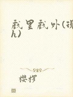 戏里戏外(现场h)