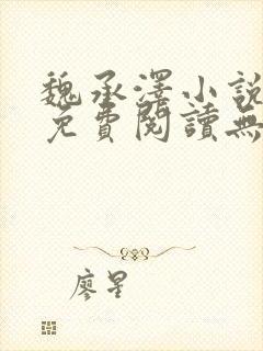 魏承泽小说全文免费阅读无弹窗笔趣