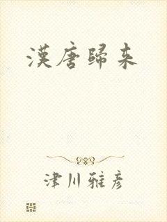 汉唐归来封面
