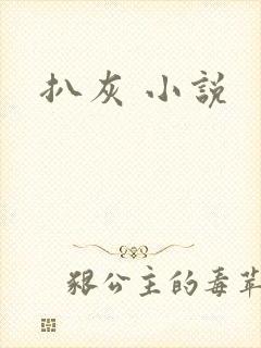 扒灰 小说封面
