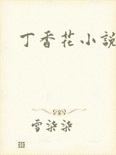 丁香花小说封面