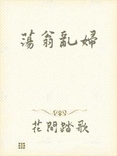 荡翁乱妇封面