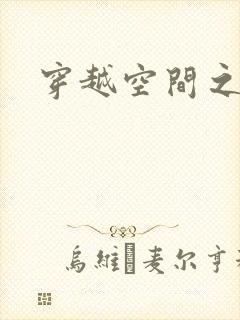 穿越空间之张氏封面