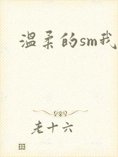 温柔的sm我封面
