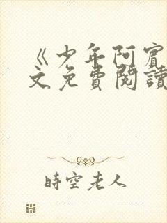 《少年阿宾》全文免费阅读封面
