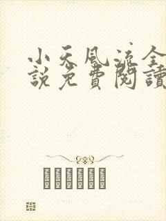小天风流全集小说免费阅读