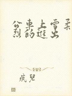 公车上雪柔被猛烈的进出