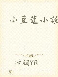 小豆蔻小说封面