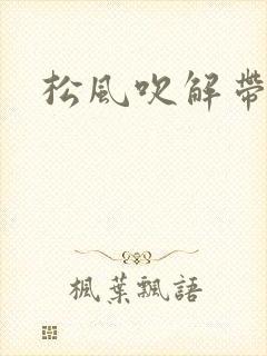 松风吹解带封面