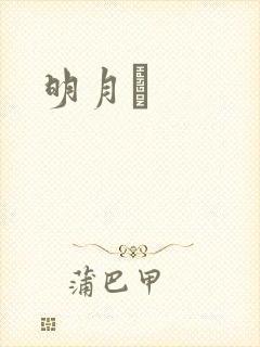明月珰