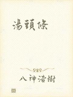 汤头条