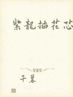 紫龙插花芯