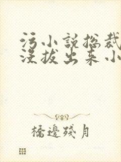污小说总裁整夜没拔出来小说在线阅读