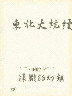 东北大炕续