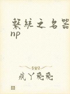 系统之名器攻略np