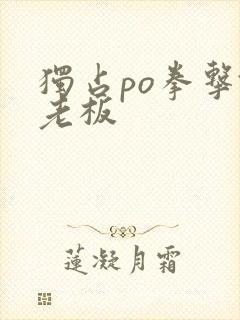 独占po拳击馆老板
