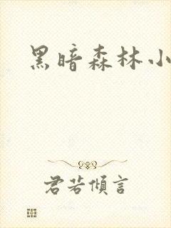 黑暗森林小说封面