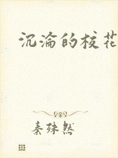 沉沦的校花封面