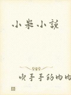 小米小说