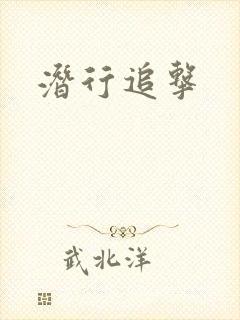 潜行追击