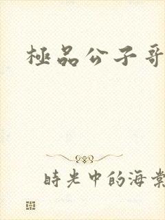 极品公子哥