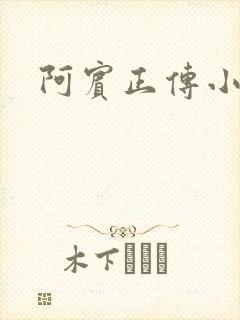 阿宾正传小说封面