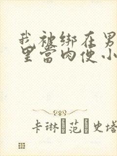 我被绑在男公厕里当肉便小说