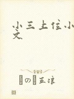 小三上位小说全文封面