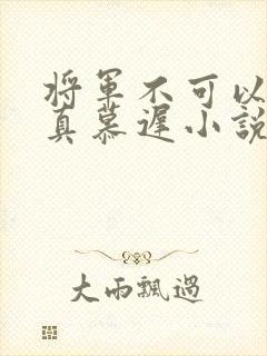 将军不可以魏云真慕迟小说笔趣阁
