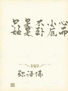 只是不小心发现她是卧底而已