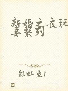 新婚之夜玩弄人妻系列封面