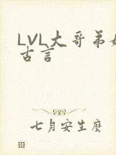 LVL大哥弟媳古言