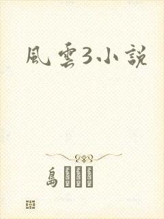 风云3小说