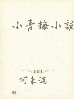 小青梅小说封面