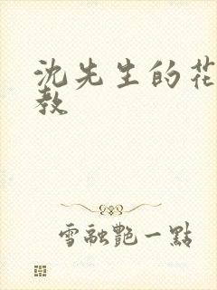 沈先生的花式管教