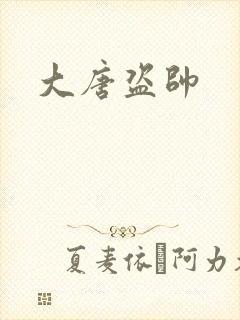大唐盗帅