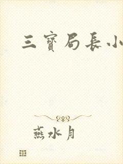 三宝局长小说