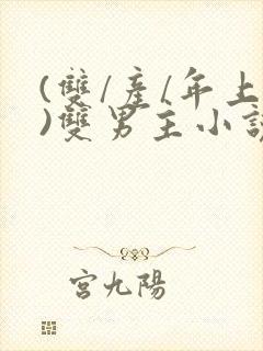 (双/产/年上)双男主小说
