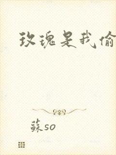 玫瑰是我偷的
