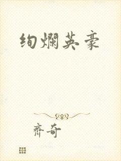 绚烂英豪封面