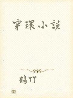 穿环小说