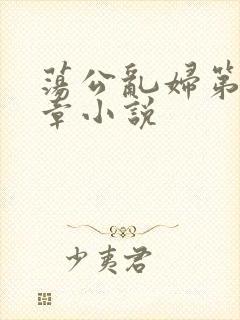 荡公乱妇第51章小说