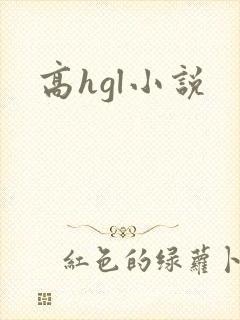 高hgl小说