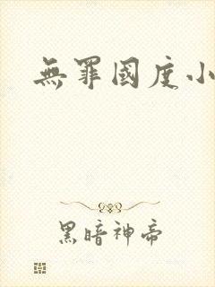无罪国度小说