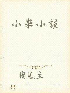 小米小说