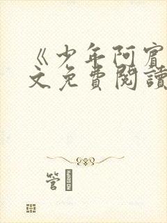 《少年阿宾》全文免费阅读封面