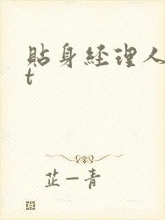贴身经理人txt