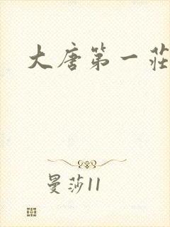 大唐第一庄