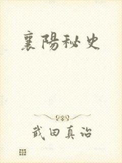襄阳秘史